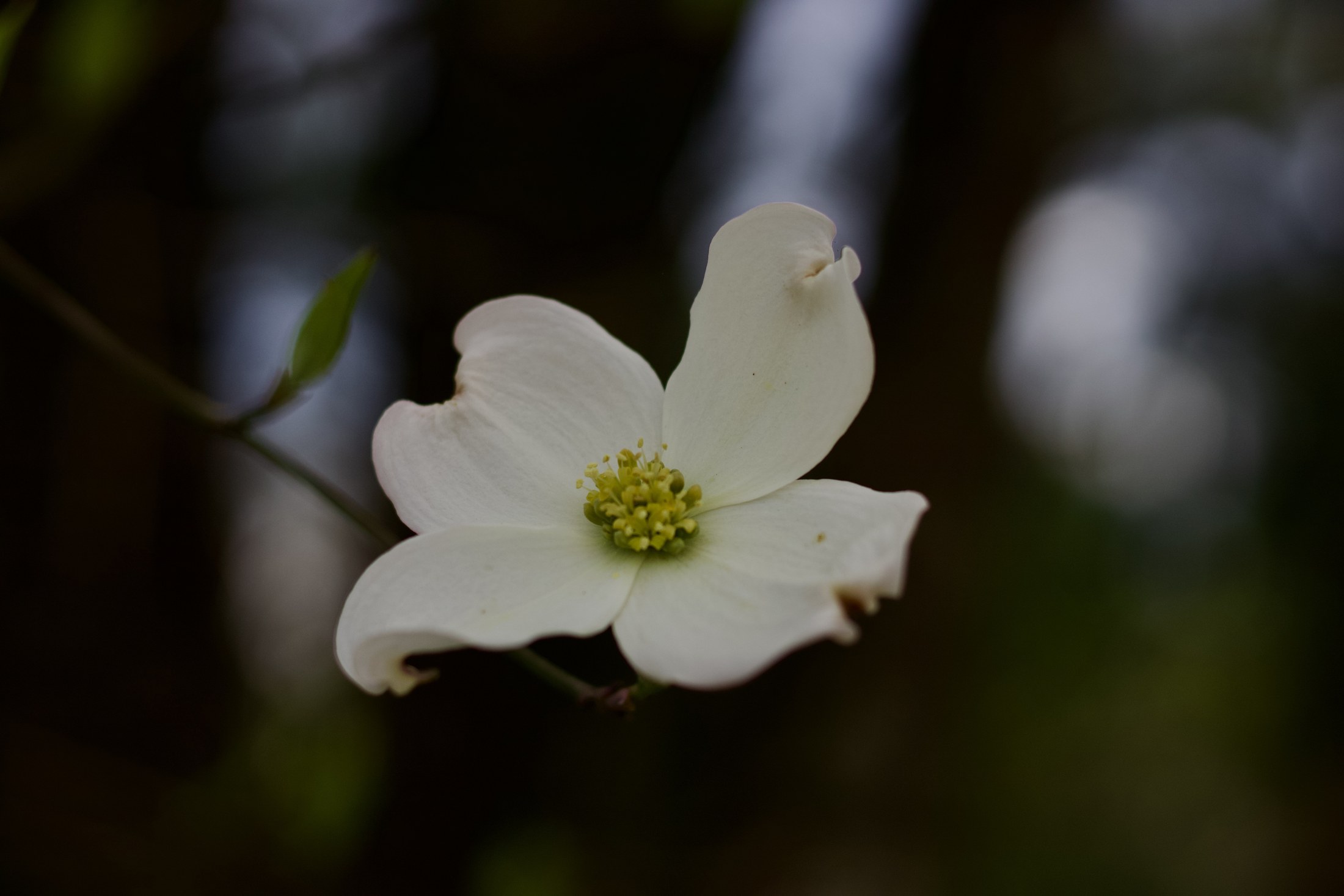 Placeholder photograph 2